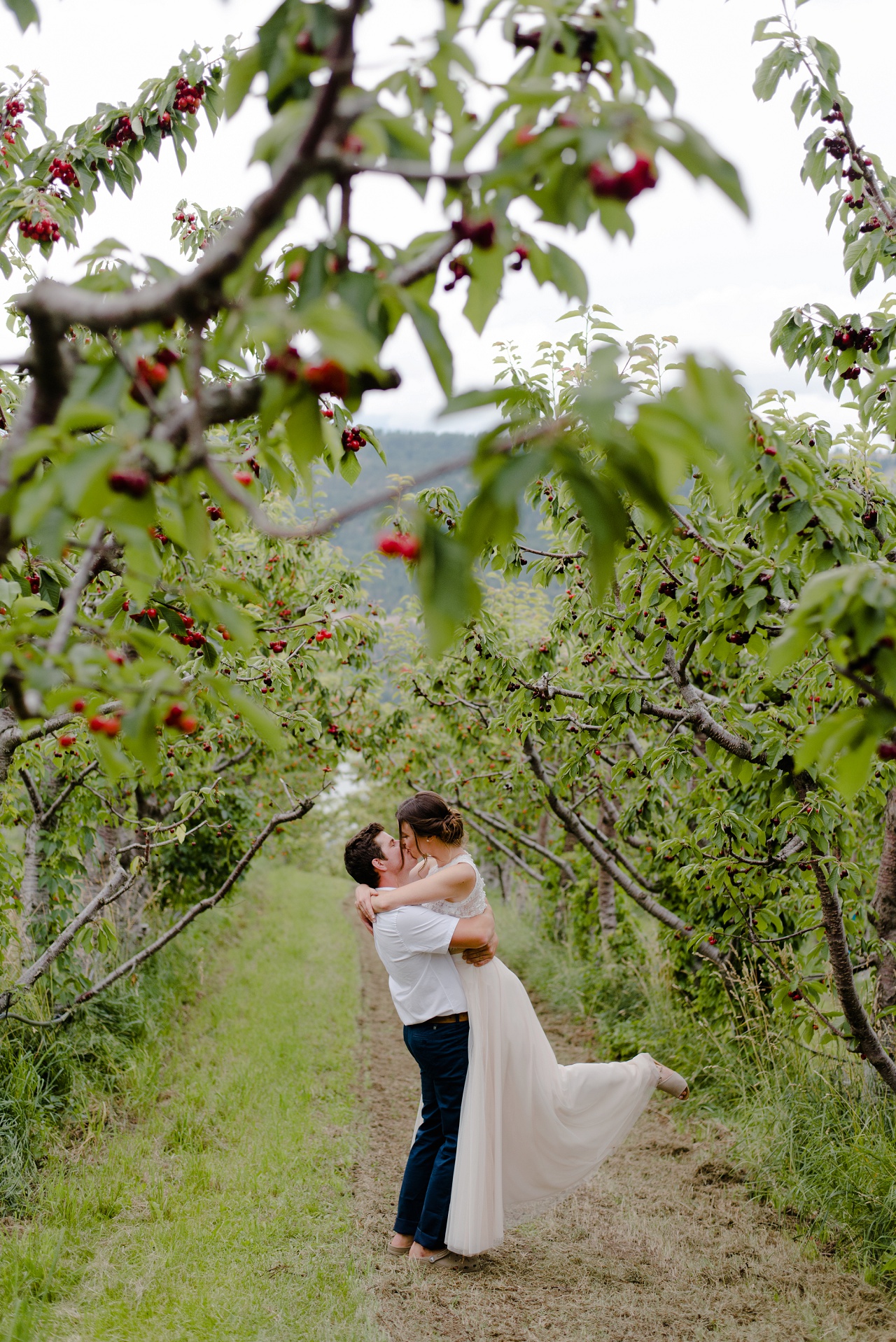 Bride and groom in the cherry orchard at Sproule and Sons Farm, Lake Country