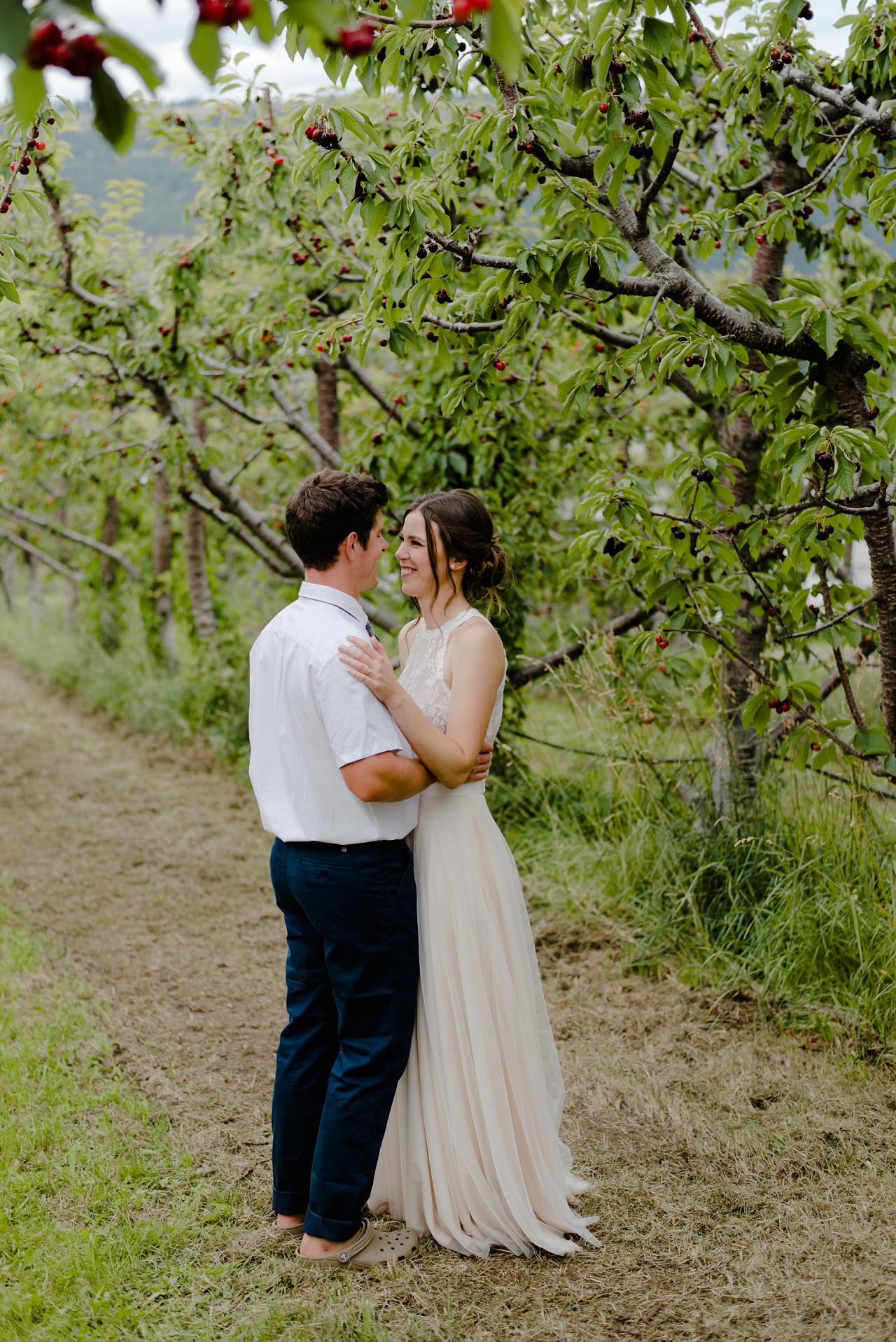 Bride and groom in the cherry orchard at Sproule and Sons Farm, Lake Country