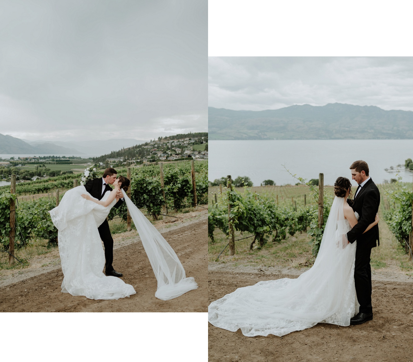 Quails Gate Quails Gate Winery Wedding